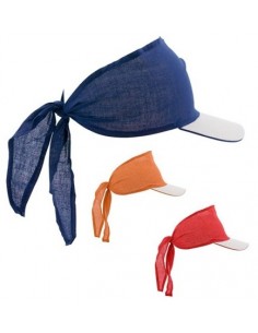 Visera Inlady